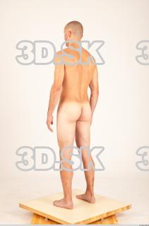 Body texture of Hanus 0024